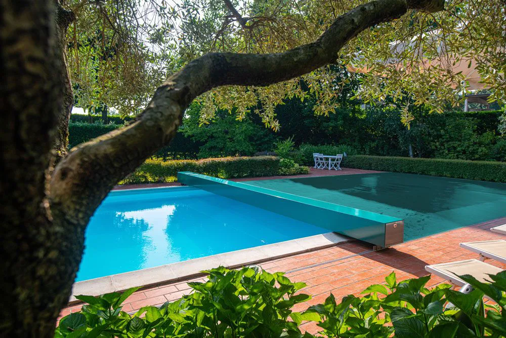 Piscine avec couverture verte partielle, entourée de végétation dense et de dalles en terre cuite, sous un arbre aux branches étendues.